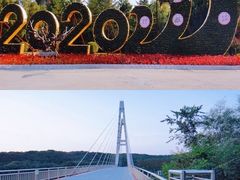 -沈阳鸟岛
