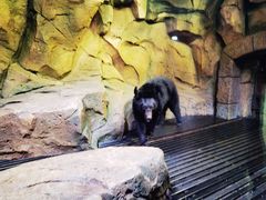 -波塞冬旅游度假区