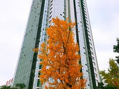 -百林公园-两江幸福广场