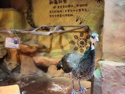 -奇幻萌宠部落(映月湖环宇城店)