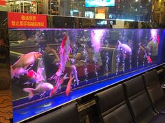 -小不点烧烤城(长乐宫店)