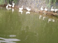 -洛阳龙门海洋馆