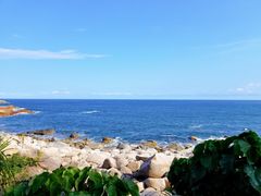 -广东惠东海龟国家级自然保护区