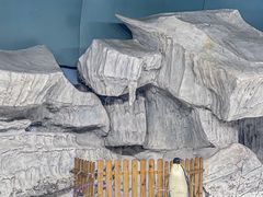 -海合安武汉极地海洋公园