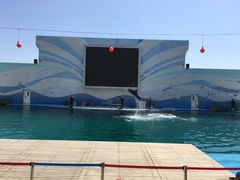 -北戴河圣蓝海洋公园