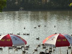 -艾溪湖湿地公园