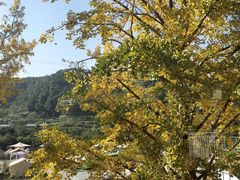 -重庆南山海昌汤都
