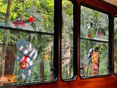 -合肥滨湖国家森林公园