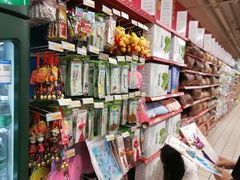 -华润万家(朱雀大街店)