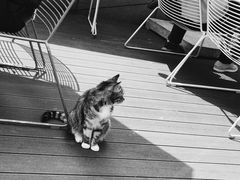 -UNI UNI(环亚凯瑟琳店)