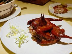 红烧乳鸽-惠食佳(滨江大公馆店)