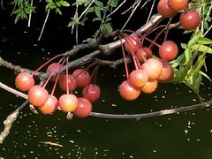 -荆川公园