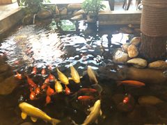 -山有花啡餐厅(常营总店)