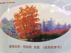-阿妮亚少儿美术书法(望京店)