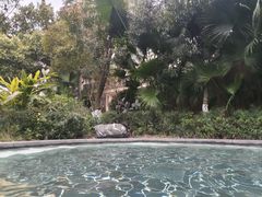 -海兰云天度假区温泉