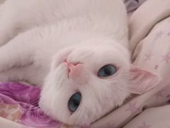 -美联众合动物医院·24h转诊中心