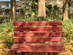 -上海不夜城广场(上海不夜城金融大厦店)