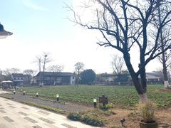 -田园东方蜜桃村的田野营地