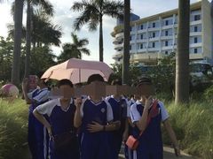 -百万葵园