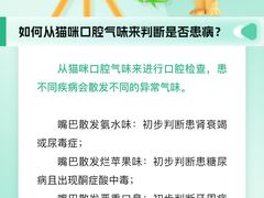 -瑞派申生动物医院·24H夜诊·国际动物医疗中心·骨外科(吴中路店)