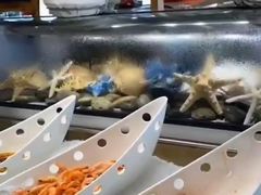 -视界美食自助餐厅·石家庄希尔顿酒店