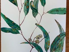 -六出私塾LiuChu•成人美术书法系统课程专业画室(熊婆婆的花园店)