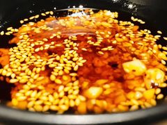 -新辣道鱼火锅(领展购物广场·中关村店)