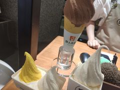 -野人先生Gelato(上海长宁龙之梦店)