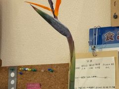 -Radar Coffee(思南路店)