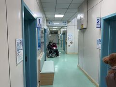 -北京观赏动物医院·24小时大型综合·猫专科·异宠专科