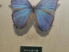 -陕西自然博物馆