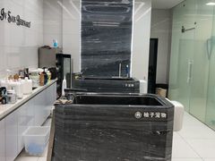 -柚子宠物(伊珊娜调理店)