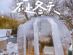 -四喜小胖·北京涮肉(五道营店)