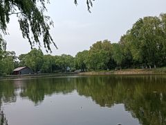 -北陵公园