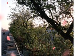 -南京城墙景区