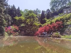 -莫干山风景区