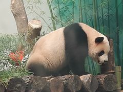 -杭州动物园