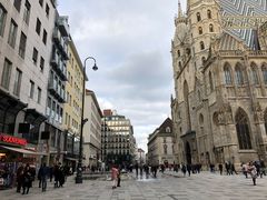 -斯蒂芬主教座堂(Stephansdom)