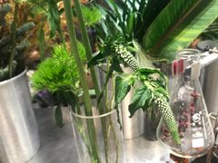 -植物学家的女儿(北马道巷店)