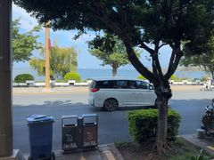 -野菌皇海景野生菌火锅(滨海大道店)