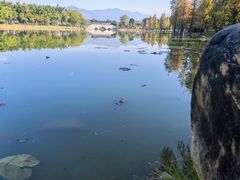 -飞来湖湿地公园