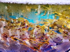 大堂-蟹之国·精品蟹料理(极地店)