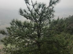 -浏阳石牛寨风景区