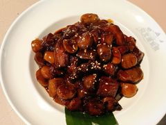 -京北渔家傲