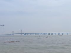 -星海湾跨海大桥