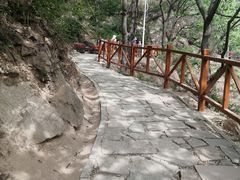 -大岭沟猕猴桃谷风景区