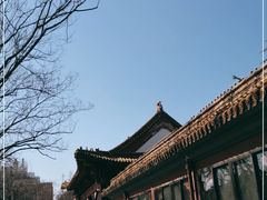 -明故宫遗址公园