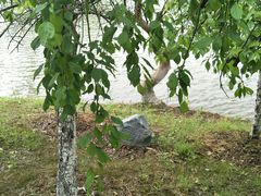 -白塘生态植物园