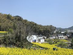 -灵山景区梯田
