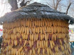 -长春市南湖公园